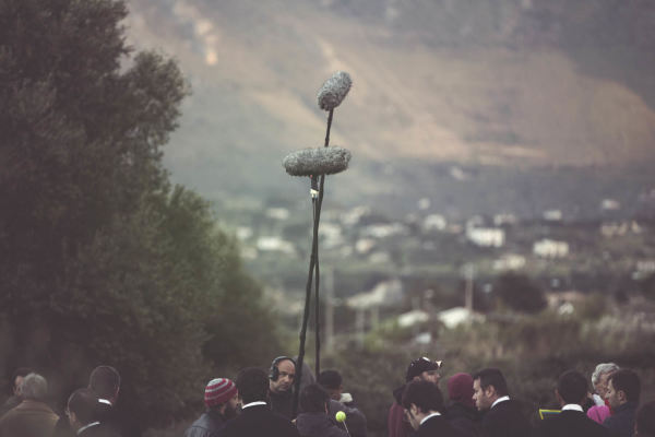 Sul set – Leaves of the tree